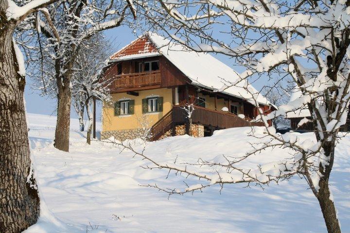 Country House Novosel Duga Resa Exterior foto